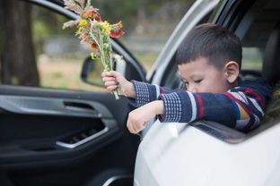 以车为伴，定格旅途 解锁无车时代的创意拍摄之道